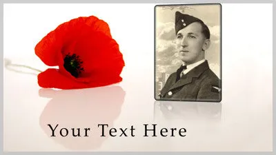 Poppy Reflections Slide Styles